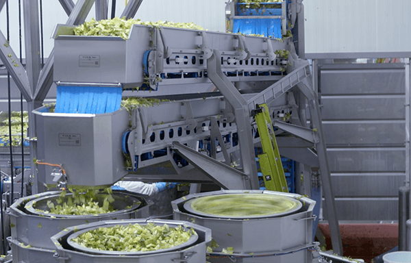 Taylor Farms, linea completamente automatizzata per il foodservice